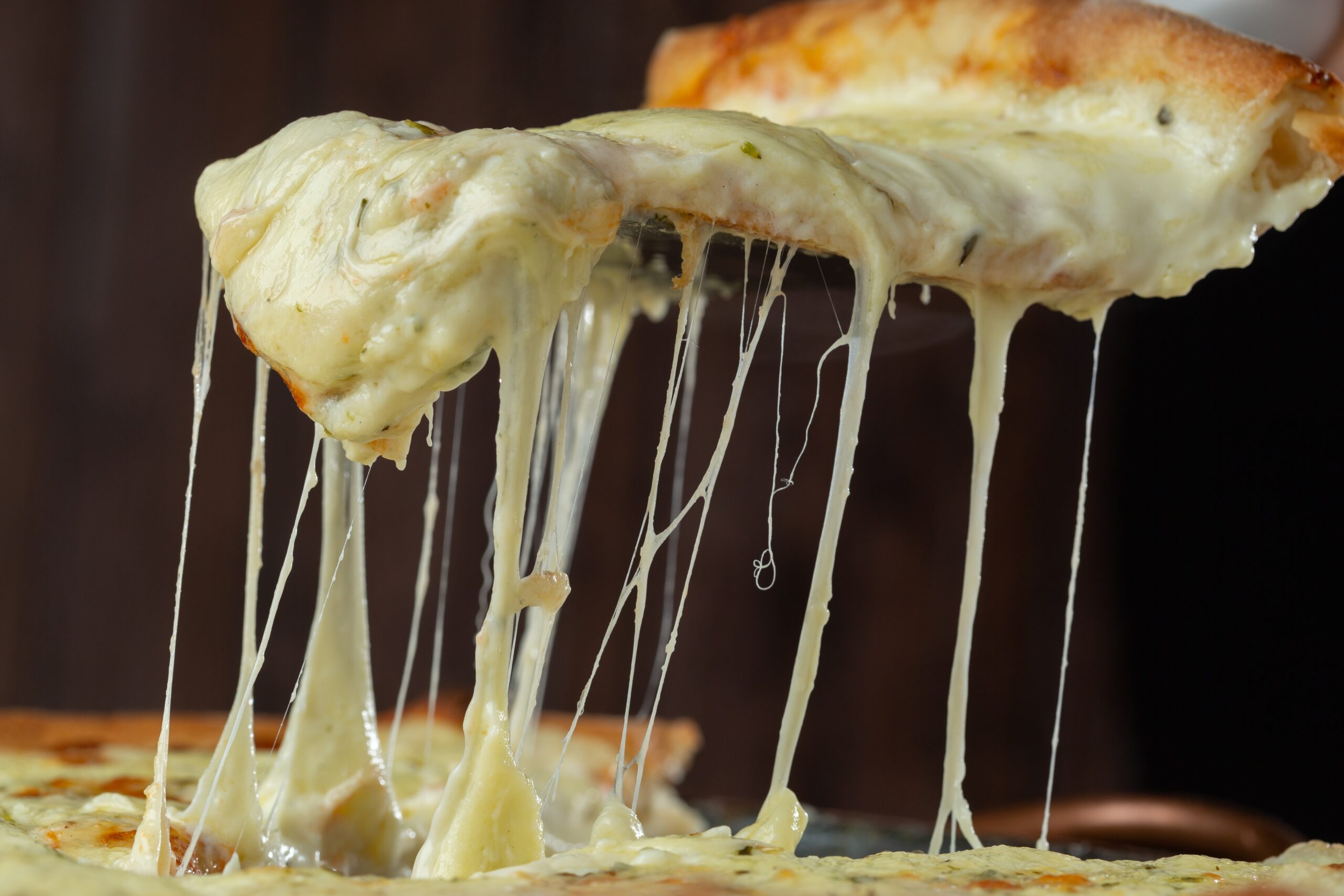 Cheese Curd Pizza